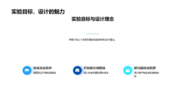 化学项目进展报告