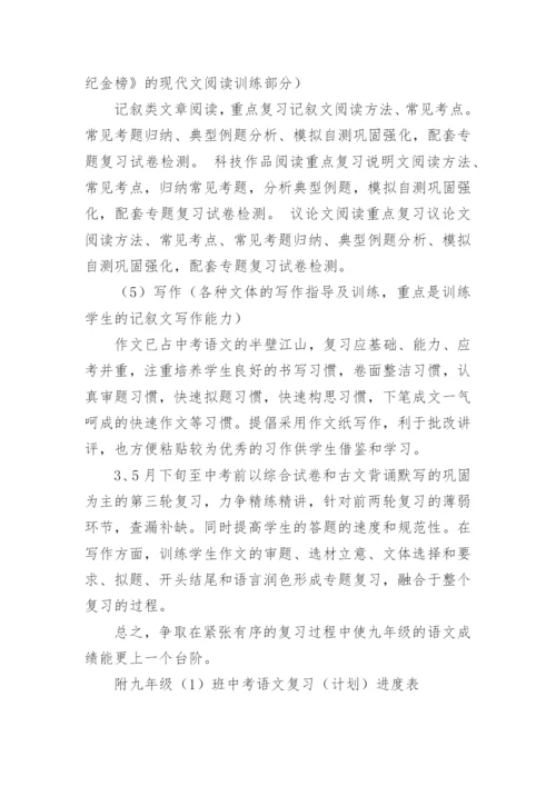 中考语文备考计划.docx