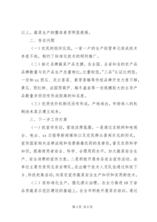 蔬菜办安全整顿工作报告.docx