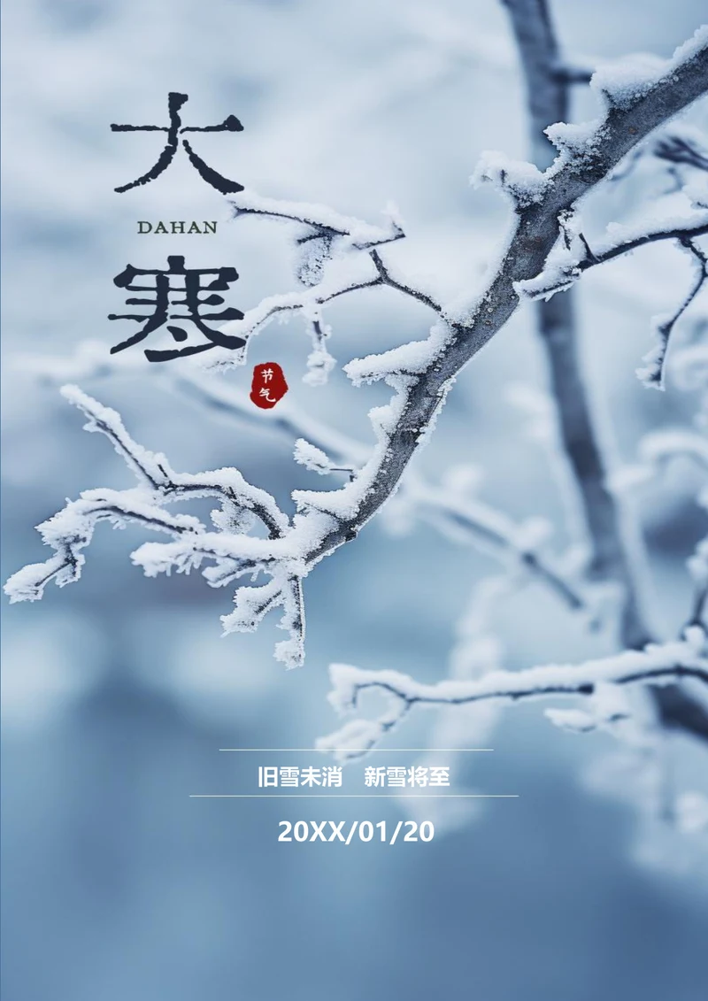 大气简约大寒节气海报