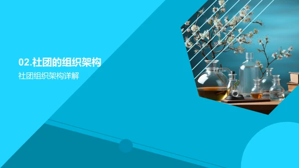 科学社团全解析
