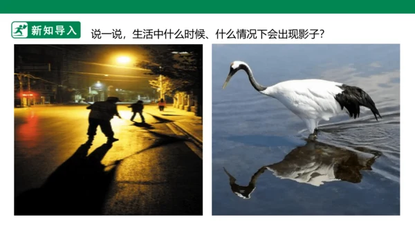 第十七课《画影子》课件