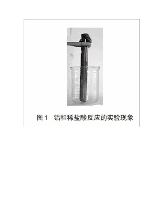 关注氯离子效应在中学化学实验中的应用.docx