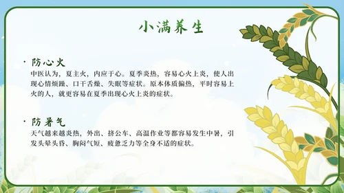 绿色清新国潮二十四节气之小满带内容PPT模板