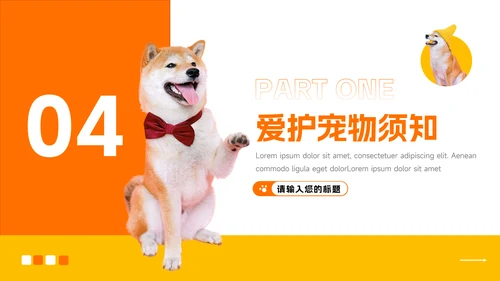 橙黄简洁宠物健康护理PPT模板