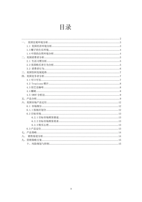 市场营销策划报告