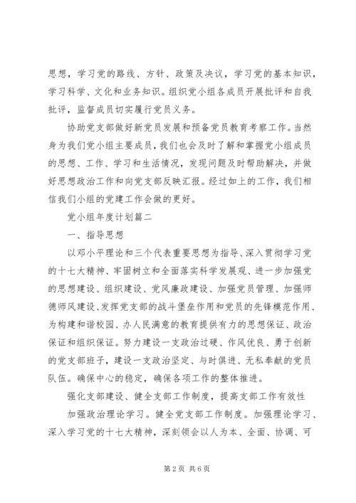 党小组年度计划.docx