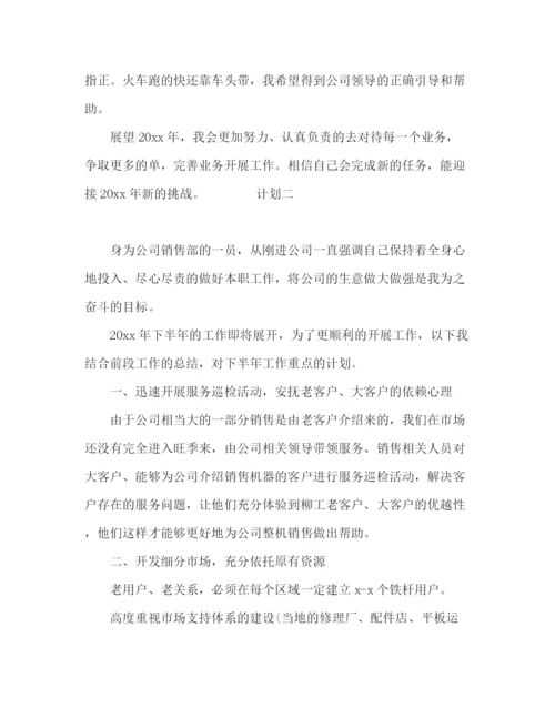 精编之销售经理下半年计划范文4篇.docx