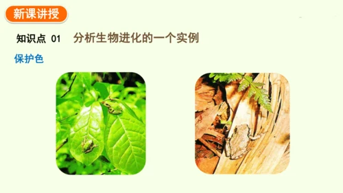 7.3.3生物进化的原因-八年级生物人教版下学期同步精品课件(共44张PPT)