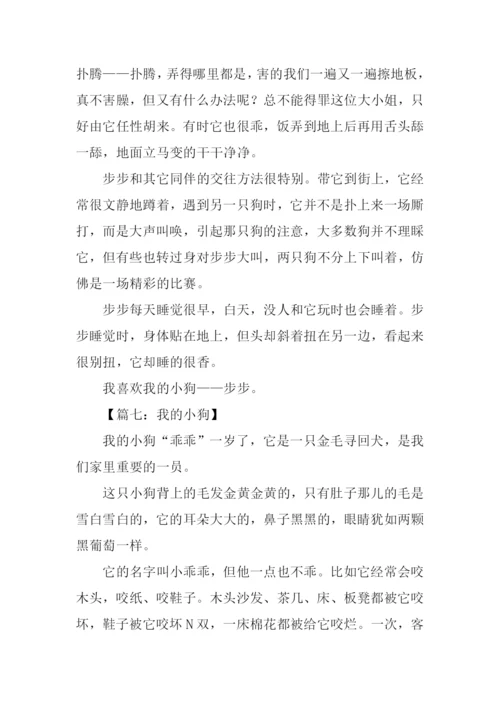 我的小狗作文600字.docx