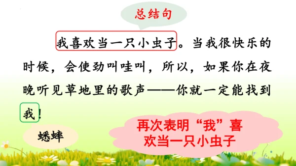 11.我是一只小虫子 课件