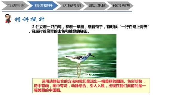 七年级上册《鸟》+“人与动物”教学设计PPT