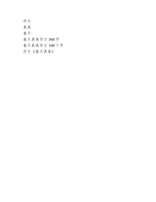 春天真美作文300字.docx