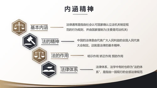 治法宪法政府法律年终工作总结汇报动态PPT