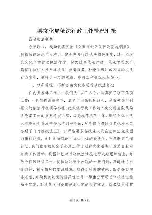 县文化局依法行政工作情况汇报.docx