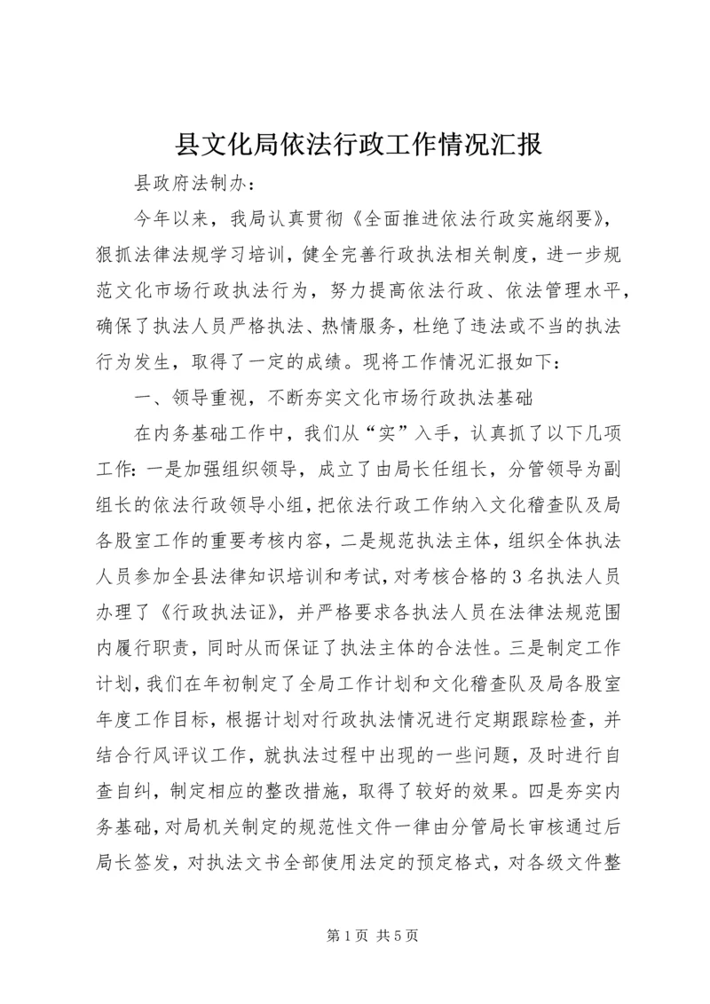 县文化局依法行政工作情况汇报.docx