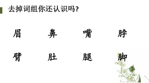 统编版语文一年级下册语文园地四（课件）
