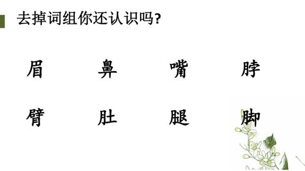 统编版语文一年级下册语文园地四（课件）