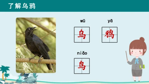 课文13《乌鸦喝水》课件