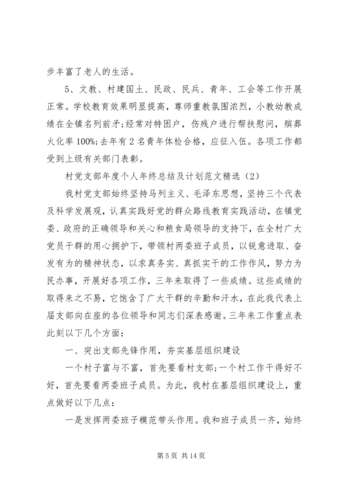 村党支部年度个人年终总结及计划范文精选.docx