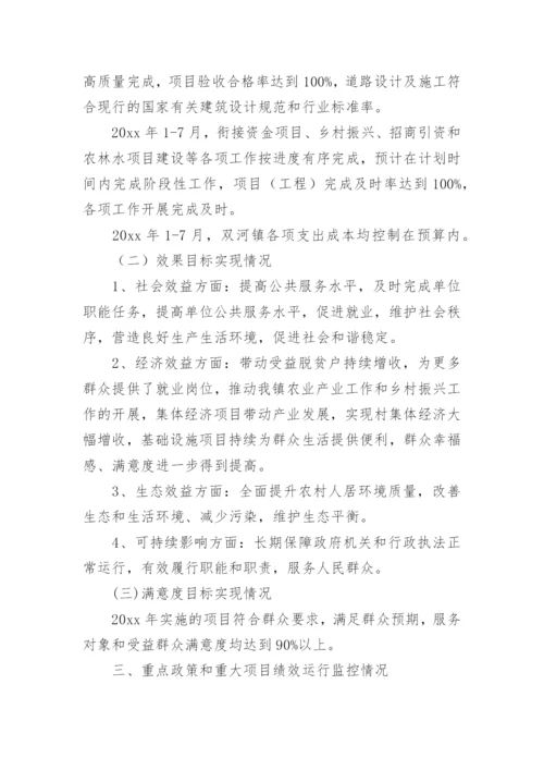 绩效运行监控分析报告.docx