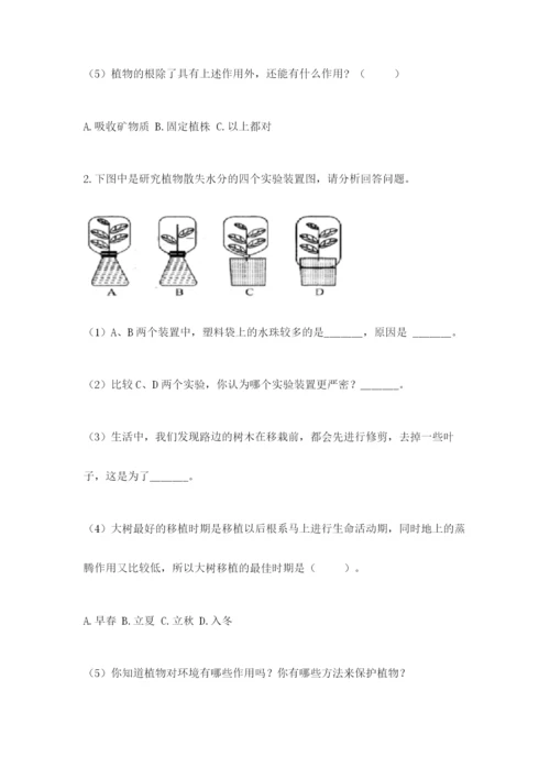 教科版四年级下册科学第一单元《植物的生长变化》测试卷精品（全优）.docx