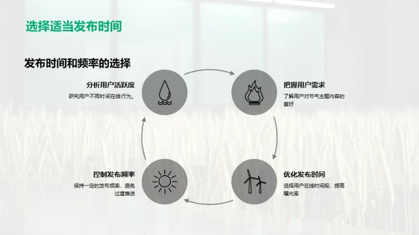 小满节气新媒传达艺术