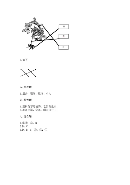 教科版科学一年级上册第一单元《植物》测试卷含答案（达标题）