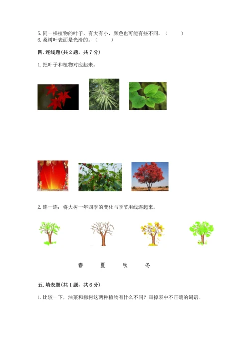 教科版科学一年级上册第一单元《植物》测试卷【轻巧夺冠】.docx