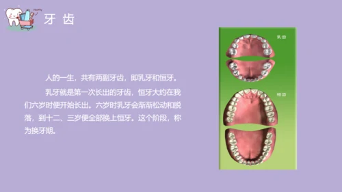口腔健康主题班会通用PPT模板