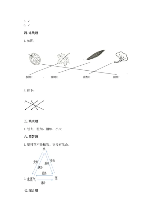 教科版科学一年级上册第一单元《植物》测试卷精品（历年真题）.docx