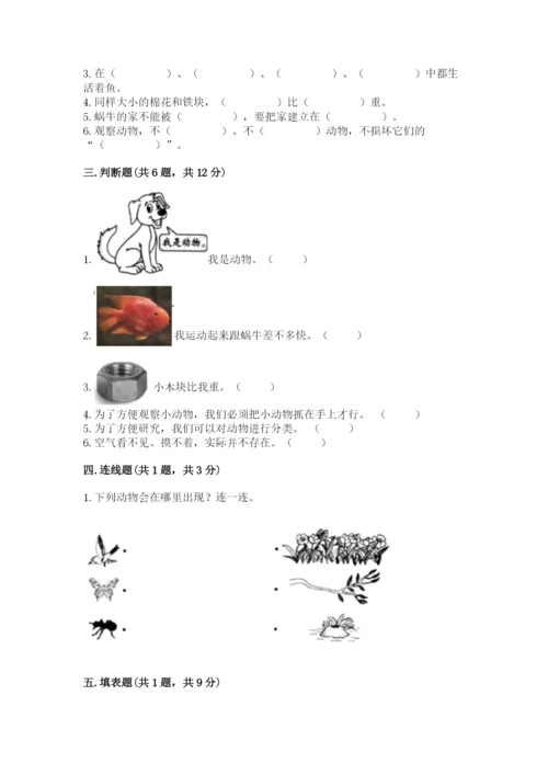 教科版一年级下册科学期末测试卷及答案参考.docx
