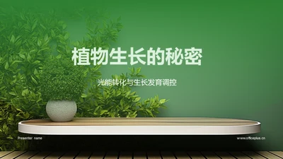 植物生长的秘密