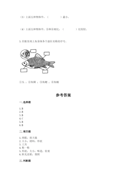 教科版小学科学一年级下册期末测试卷精品（各地真题）.docx