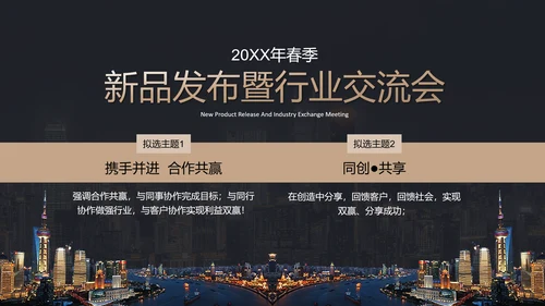 黑金高档金融商业活动策划执行方案PPT