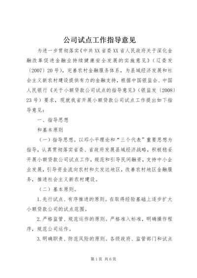 公司试点工作指导意见.docx