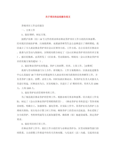 精编之关于项目的总结报告范文.docx