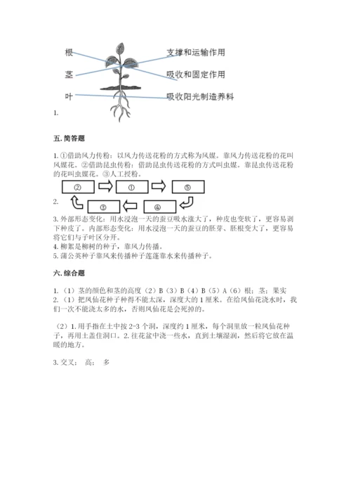 教科版四年级下册科学第一单元《植物的生长变化》测试卷及答案【新】.docx