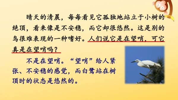 1 白鹭   课件