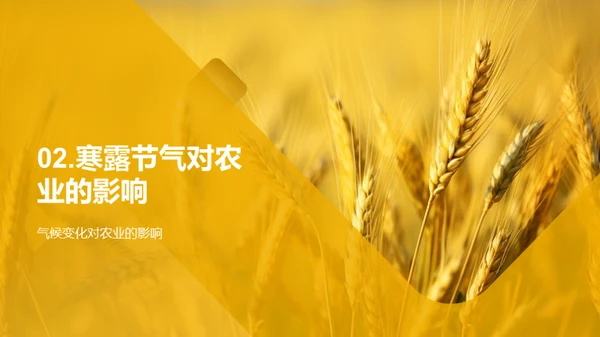 寒露农事与科学应对