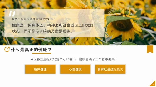 中小学生心理健康应知应会PPT模板