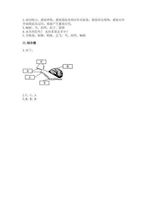 教科版一年级下册科学期末测试卷（基础题）.docx