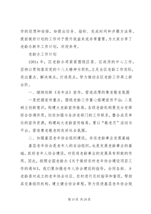 老龄办工作计划 (2).docx