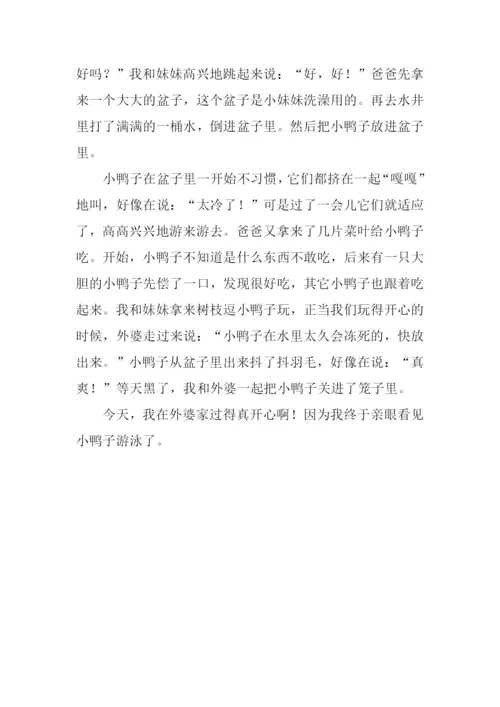 小鸭子游泳的作文.docx