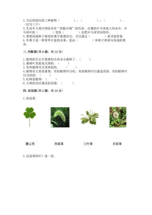 教科版科学一年级上册第一单元《植物》测试卷及答案（各地真题）.docx