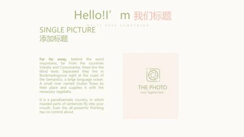 唯美淡雅小清新产品介绍方案策划动态PPT模板