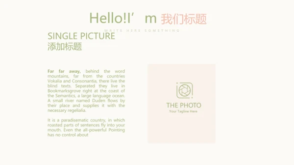 唯美淡雅小清新产品介绍方案策划动态PPT模板