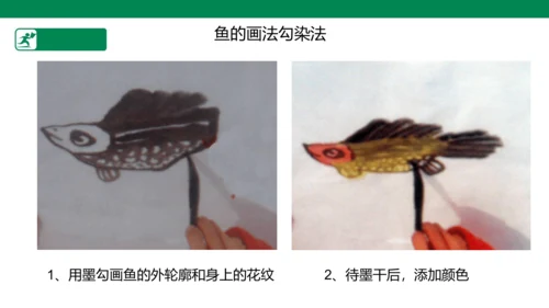 第九课《用彩墨画鱼》课件