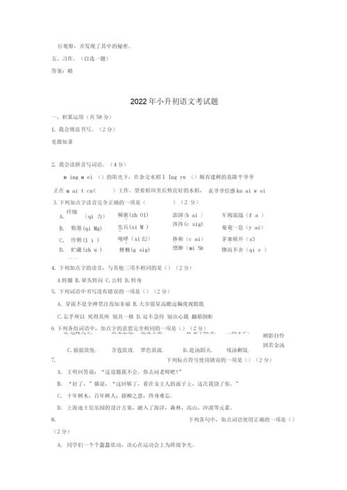 2022年上蔡县小升初考试题.docx