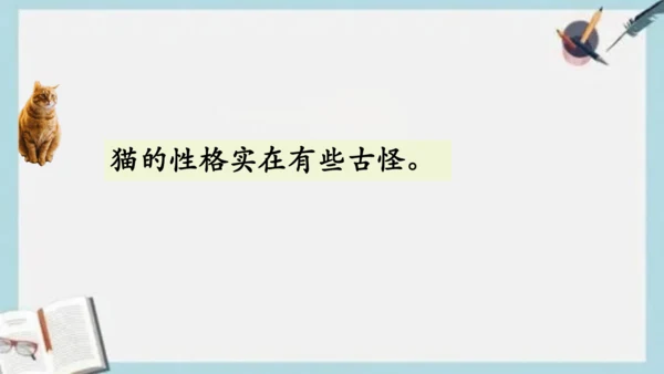 《13.猫》课件